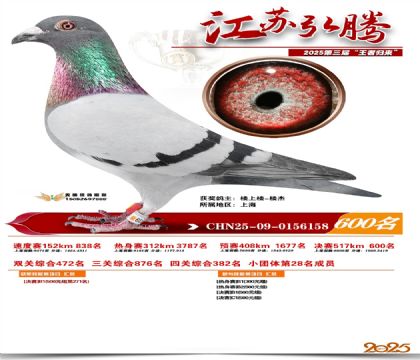 ���պ��ھ���600��