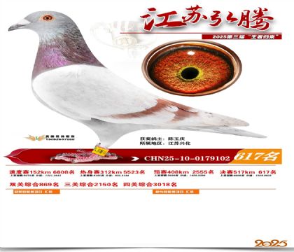 ���պ��ھ���617��