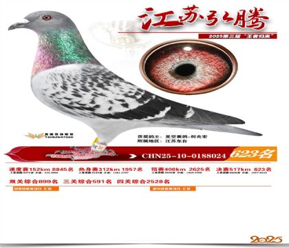 ���պ��ھ���623��