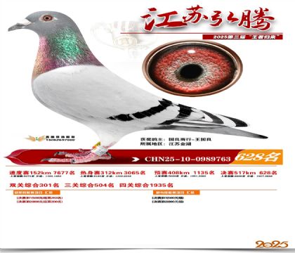 ���պ��ھ���628��