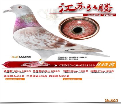 ���պ��ھ���645��