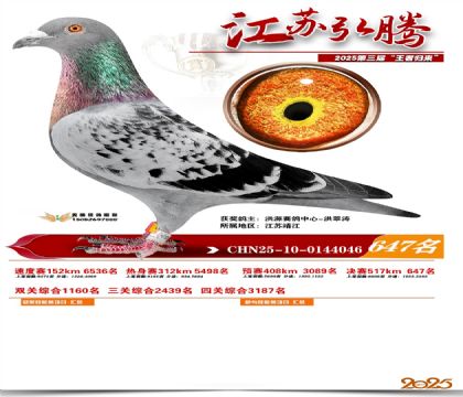 ���պ��ھ���647��