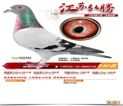 ���պ��ھ���646��