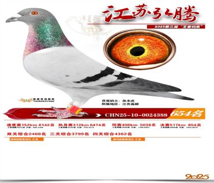 ���պ��ھ���654��