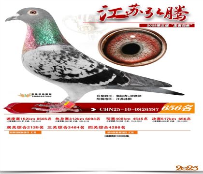 ���պ��ھ���656��