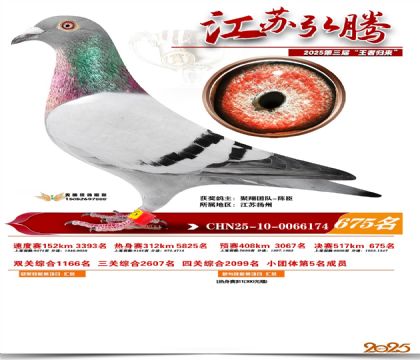 ���պ��ھ���675��