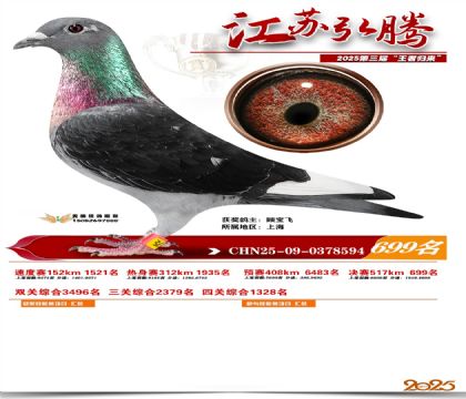 ���պ��ھ���699��