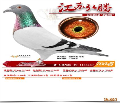 江苏弘腾决赛703名