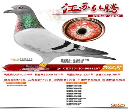 江苏弘腾决赛702名