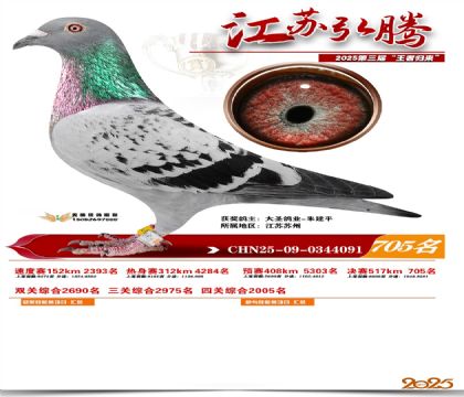 江苏弘腾决赛705名