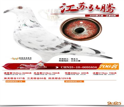 江苏弘腾决赛706名