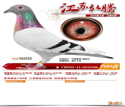 江苏弘腾决赛709名