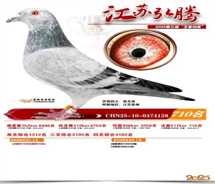 江苏弘腾决赛710名