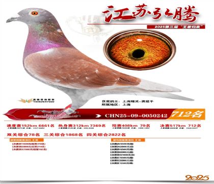 江苏弘腾决赛712名