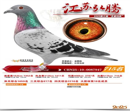 江苏弘腾决赛715名