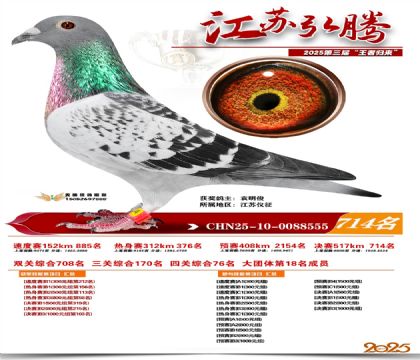 江苏弘腾决赛714名