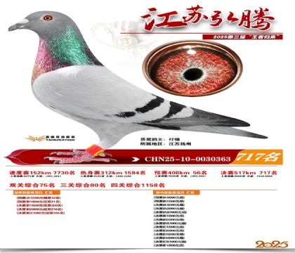 江苏弘腾决赛717名