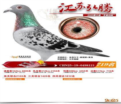 江苏弘腾决赛719名