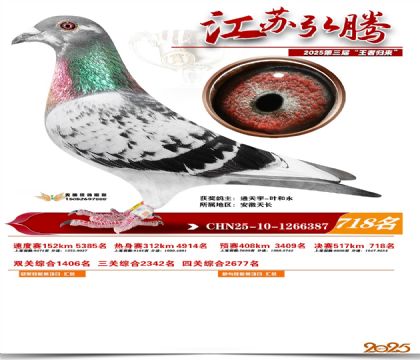 江苏弘腾决赛718名