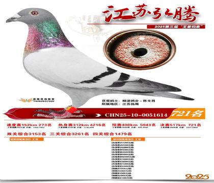 江苏弘腾决赛721名