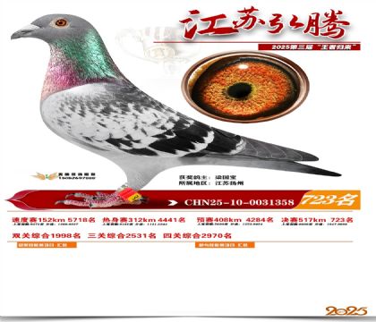 江苏弘腾决赛723名