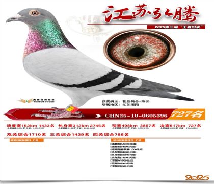 江苏弘腾决赛727名