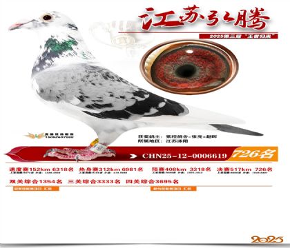 江苏弘腾决赛726名