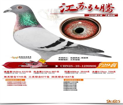 江苏弘腾决赛729名