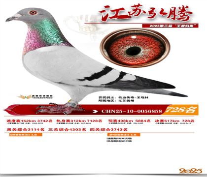 江苏弘腾决赛728名