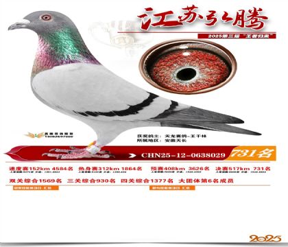 江苏弘腾决赛731名