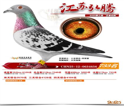 江苏弘腾决赛733名