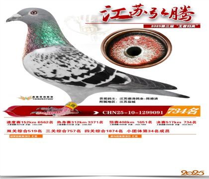 江苏弘腾决赛734名