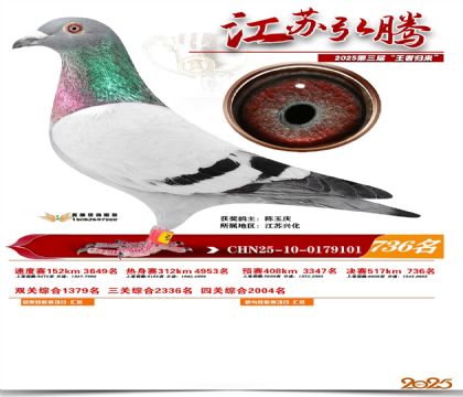 江苏弘腾决赛736名