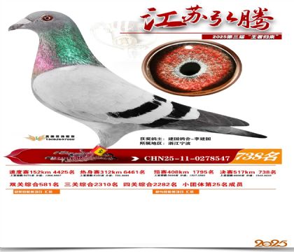 江苏弘腾决赛738名