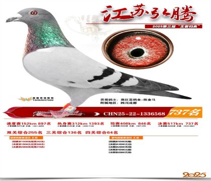 江苏弘腾决赛737名