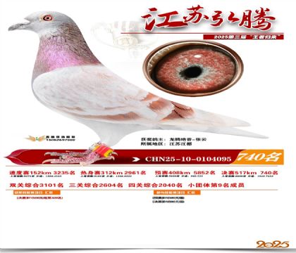 江苏弘腾决赛740名