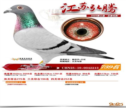 江苏弘腾决赛739名