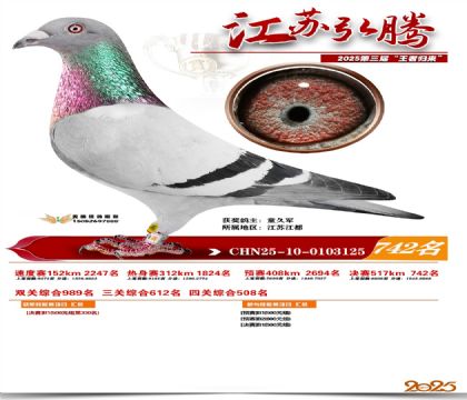 江苏弘腾决赛742名