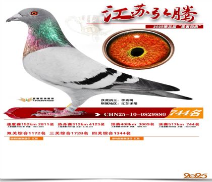 江苏弘腾决赛744名