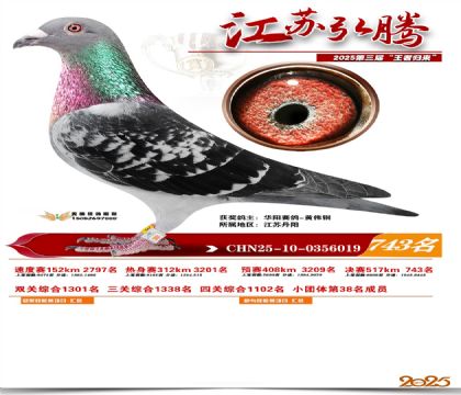 江苏弘腾决赛743名