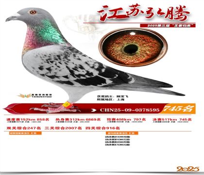 江苏弘腾决赛745名