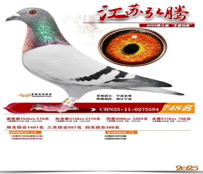 江苏弘腾决赛748名