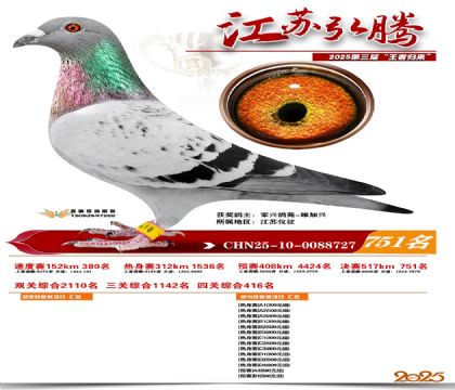 江苏弘腾决赛751名