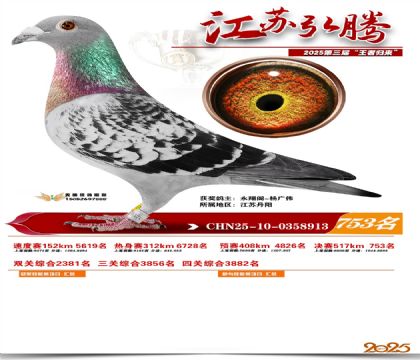 江苏弘腾决赛753名