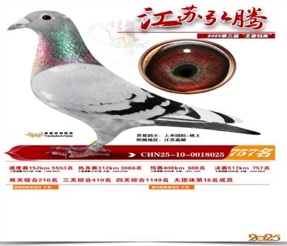 江苏弘腾决赛757名