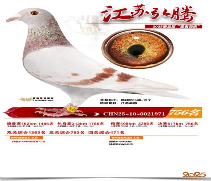 江苏弘腾决赛756名