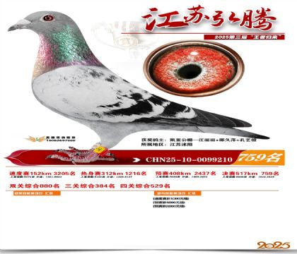 江苏弘腾决赛759名