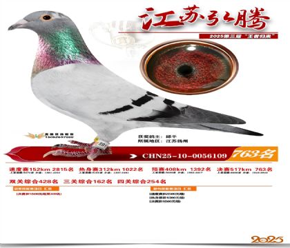 江苏弘腾决赛763名