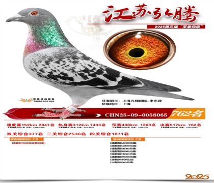 江苏弘腾决赛762名