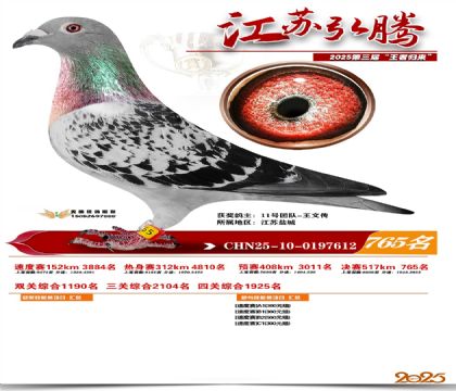 江苏弘腾决赛765名